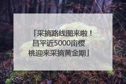 采摘路线图来啦！昌平近5000亩樱桃迎来采摘黄金期