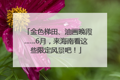 金色梯田、油画晚霞……6月，来海南看这些限定风景吧！