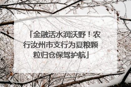 金融活水润沃野！农行汝州市支行为夏粮颗粒归仓保驾护航
