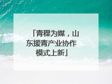 青稞为媒，山东援青产业协作模式上新