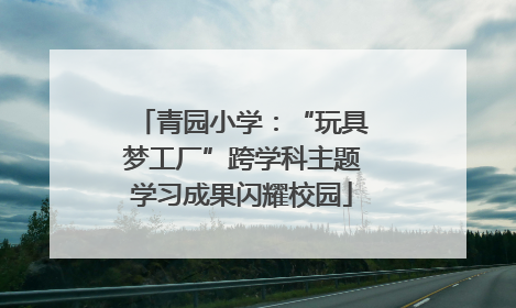 青园小学：“玩具梦工厂”跨学科主题学习成果闪耀校园