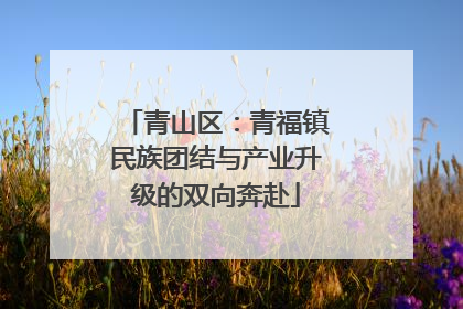 青山区：青福镇民族团结与产业升级的双向奔赴