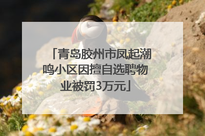 青岛胶州市凤起潮鸣小区因擅自选聘物业被罚3万元