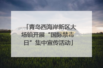 青岛西海岸新区大场镇开展“国际禁毒日”集中宣传活动