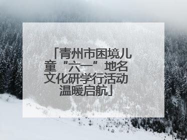 青州市困境儿童“六一”地名文化研学行活动温暖启航