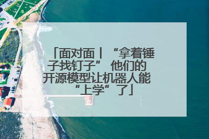 面对面丨“拿着锤子找钉子” 他们的开源模型让机器人能“上学”了