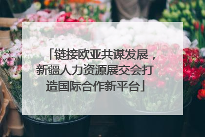 链接欧亚共谋发展，新疆人力资源展交会打造国际合作新平台