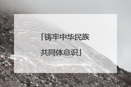 铸牢中华民族共同体意识