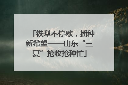 铁犁不停歇，播种新希望——山东“三夏”抢收抢种忙
