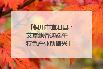 铜川市宜君县：艾草飘香迎端午 特色产业助振兴