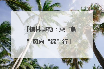 锡林郭勒：乘“新”风向“绿”行