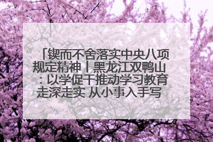 锲而不舍落实中央八项规定精神丨黑龙江双鸭山：以学促干推动学习教育走深走实 从小事入手写好“民生答卷”