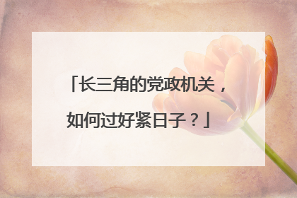 长三角的党政机关，如何过好紧日子？
