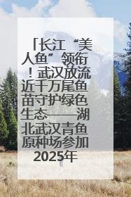 长江“美人鱼”领衔！武汉放流近千万尾鱼苗守护绿色生态——湖北武汉青鱼原种场参加2025年“全国放鱼日”增殖放流活动