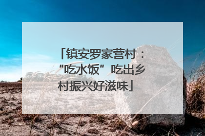 镇安罗家营村：“吃水饭”吃出乡村振兴好滋味