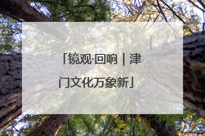 镜观·回响｜津门文化万象新