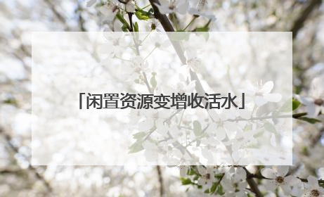 闲置资源变增收活水
