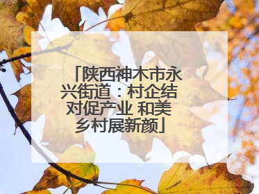 陕西神木市永兴街道：村企结对促产业 和美乡村展新颜