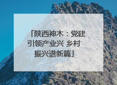 陕西神木：党建引领产业兴 乡村振兴谱新篇