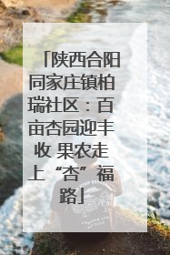 陕西合阳同家庄镇柏瑞社区：百亩杏园迎丰收 果农走上“杏”福路