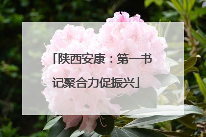 陕西安康：第一书记聚合力促振兴