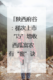 陕西府谷：梯次上市“巧”增收 西瓜富农有“蜜”诀