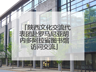 陕西文化交流代表团赴罗马尼亚胡内多阿拉省图书馆访问交流