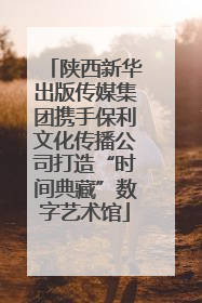 陕西新华出版传媒集团携手保利文化传播公司打造“时间典藏”数字艺术馆