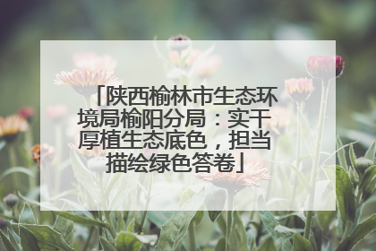 陕西榆林市生态环境局榆阳分局：实干厚植生态底色，担当描绘绿色答卷