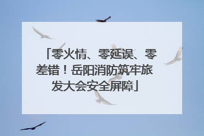 零火情、零延误、零差错！岳阳消防筑牢旅发大会安全屏障