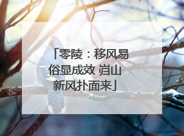 零陵：移风易俗显成效 岿山新风扑面来
