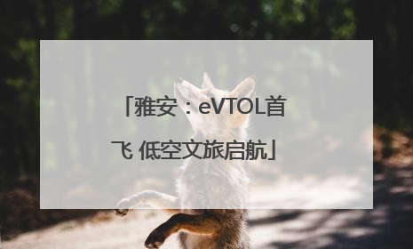 雅安：eVTOL首飞 低空文旅启航