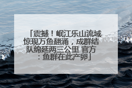 震撼！岷江乐山流域惊现万鱼翻涌，成群结队绵延两三公里 官方：鱼群在此产卵