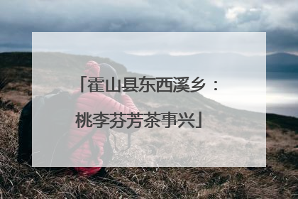 霍山县东西溪乡：桃李芬芳茶事兴