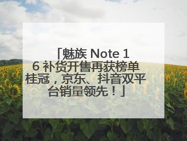 魅族 Note 16 补货开售再获榜单桂冠，京东、抖音双平台销量领先！