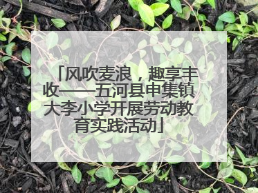 风吹麦浪，趣享丰收——五河县申集镇大李小学开展劳动教育实践活动