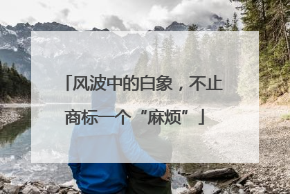 风波中的白象，不止商标一个“麻烦”