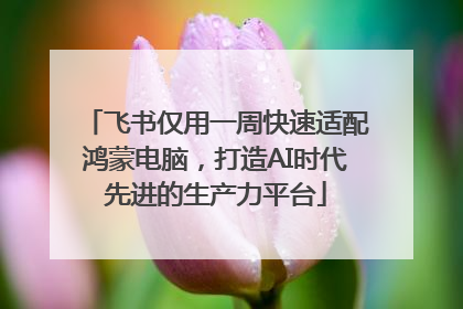飞书仅用一周快速适配鸿蒙电脑，打造AI时代先进的生产力平台