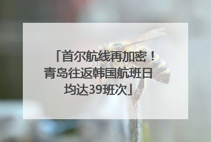 首尔航线再加密！青岛往返韩国航班日均达39班次