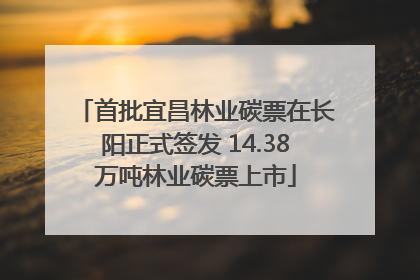 首批宜昌林业碳票在长阳正式签发 14.38万吨林业碳票上市