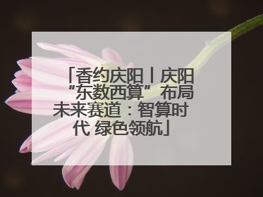 香约庆阳丨庆阳“东数西算”布局未来赛道：智算时代 绿色领航