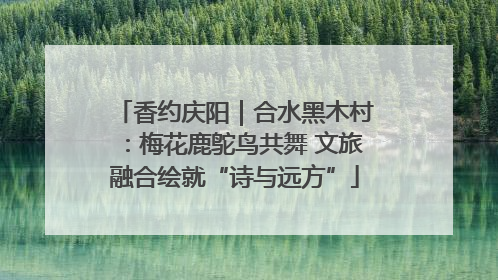 香约庆阳｜合水黑木村：梅花鹿鸵鸟共舞 文旅融合绘就“诗与远方”