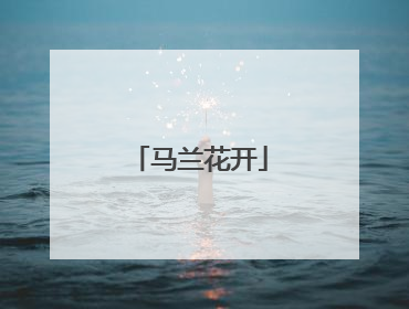 马兰花开