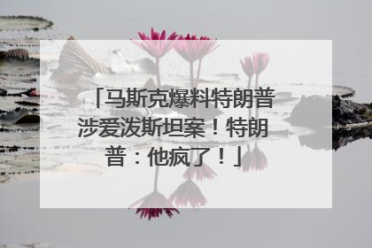 马斯克爆料特朗普涉爱泼斯坦案！特朗普：他疯了！