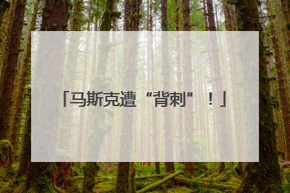 马斯克遭“背刺”！