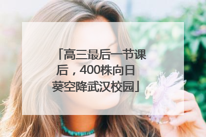 高三最后一节课后，400株向日葵空降武汉校园