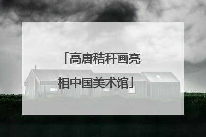高唐秸秆画亮相中国美术馆