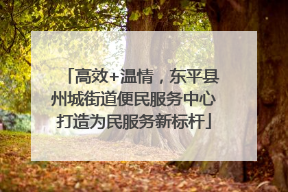 高效+温情，东平县州城街道便民服务中心打造为民服务新标杆