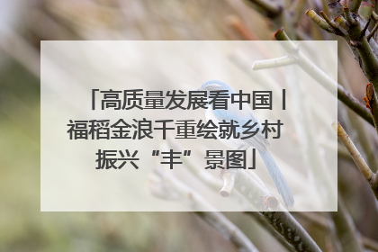 高质量发展看中国丨福稻金浪千重绘就乡村振兴“丰”景图
