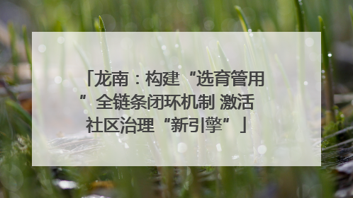 龙南：构建“选育管用”全链条闭环机制 激活社区治理“新引擎”